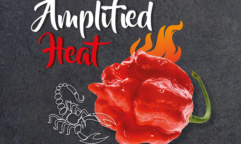 Snack Concept - Amplified Heat